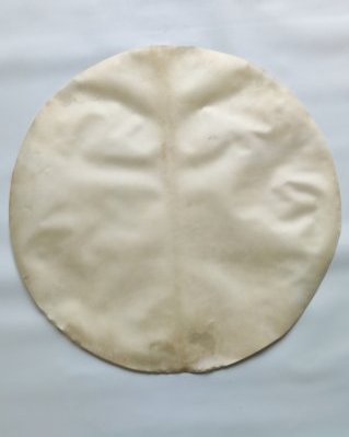Pelle di alce djembè fina rasata XL