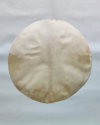 Pelle di alce djembè semi spessa rasata M