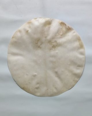 Pelle di alce djembè fina rasata M