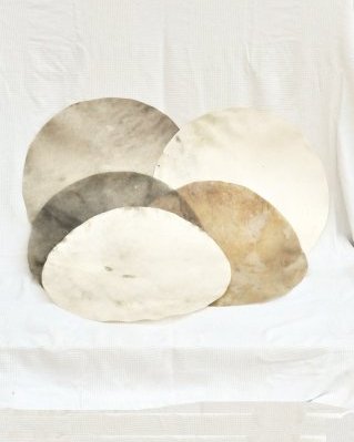 Pacchetto 5 pelli di cervidi tamburo djembè rasate declassate M