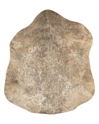 Pelle di capra djembè Sahel marrone maculata fine