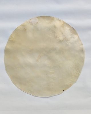 Pelle di cavallo djembè molto fina sensa pelo L