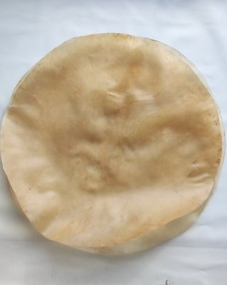 Pelle di bue / mucca tamburo spessa sensa pelo XXL