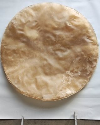 Pelle di bue / mucca tamburo semi spessa sensa pelo XXL