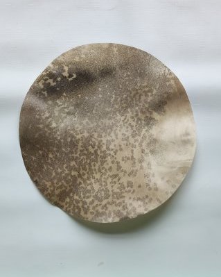 Pelle di cervo djembè semi spessa rasata S