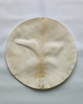 Pelle di alce djembè molto spessa rasata M