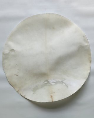 Pelle di alce djembè semi spessa rasata XL