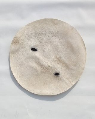 Pelle di asino djembè fina con pelo M