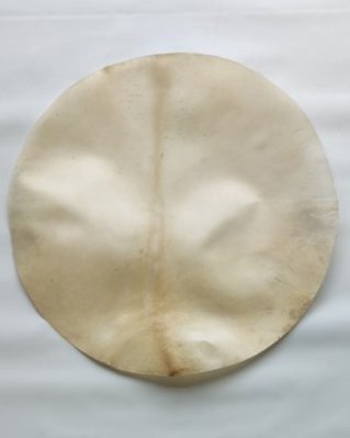 Pelle di alce djembè molto spessa rasata XL