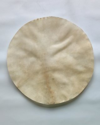 Pelle di alce djembè spessa rasata M